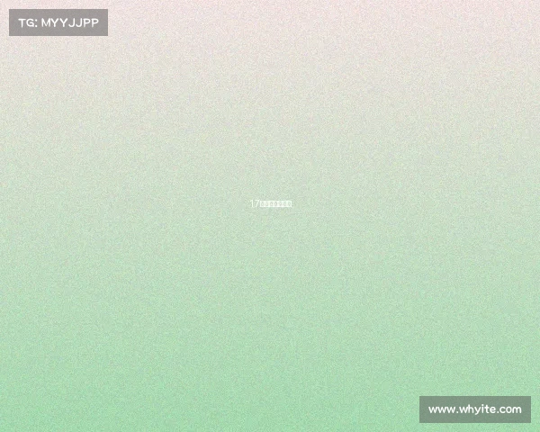 17年美网男单冠军