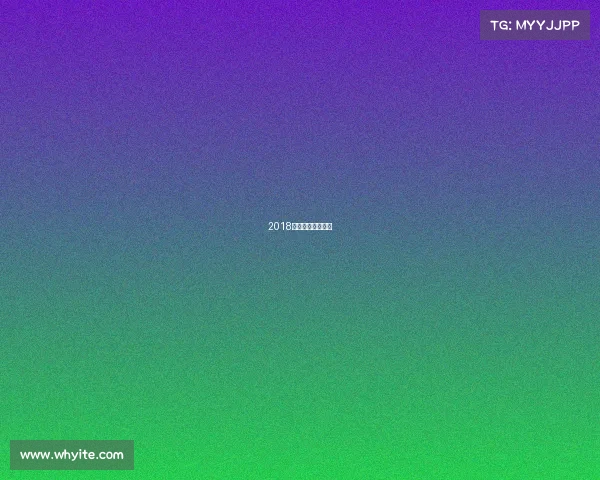 2018年国际龙舟赛视频