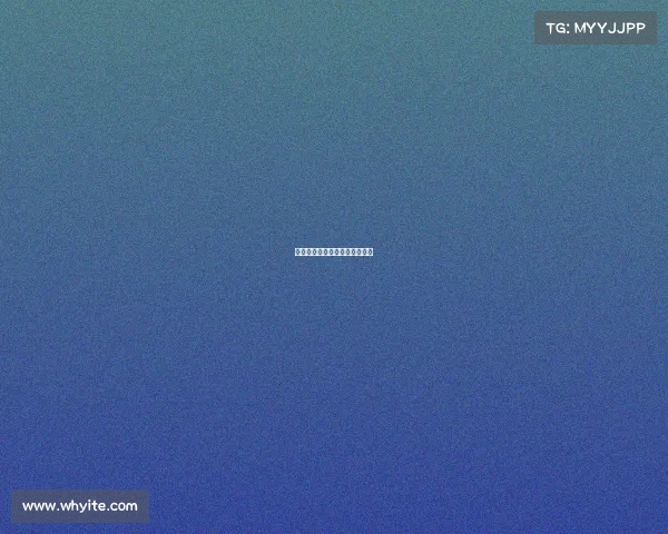 中国功夫娱乐赛事中国功夫演出