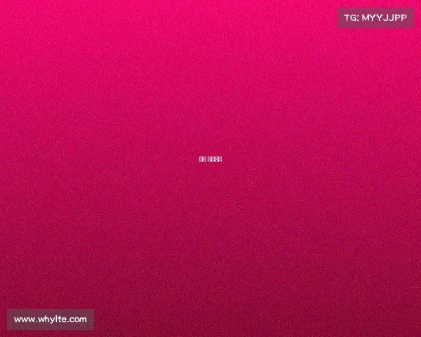 北京 拳击比赛 北京 拳击比赛