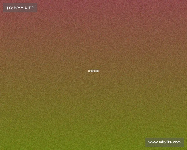 排球赛事日程表